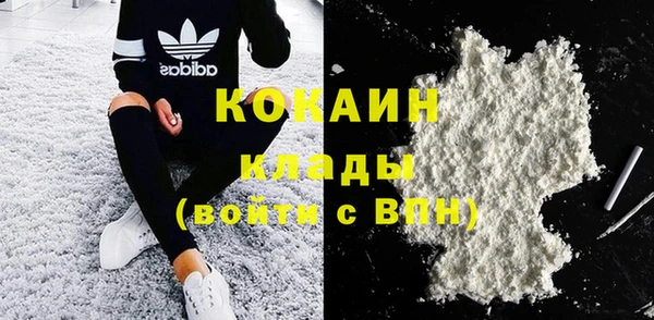 дмт Арсеньев