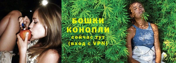 дмт Арсеньев