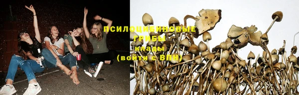 хмурый Армянск