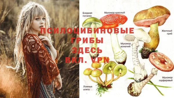 дмт Арсеньев